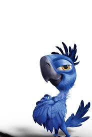 Dumb Bird From Finding Dory Rio 2 Official Movie Site Tiago Disney Drawings Rio Movie Cartoon Wallpaper