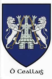 View our family crest gift store here: Roots The Kelly Clan Irish America