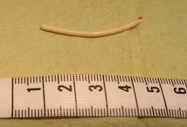 We did not find results for: Birth Control Implant Weight Gain Facts And Myths