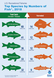 Which Region S Saltwater Anglers Catch The Most Fish Hook Line Sciencehook Line Science