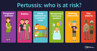 Pertussis, or whooping cough, is less common in young children than it used to be, as the pertussis vaccine has made most children immune. Pertussis Whooping Cough