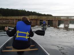 Your lakeside trail stock images are ready. Island Lake Conservation Area Credit Valley Conservation Credit Valley Conservation