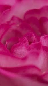 أجمل خلفيات جوال ايفون x mobile phone wallpapers free download flower iphone wallpaper free flower wallpaper rose gold wallpaper iphone