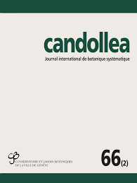 Image result for Hetaeria heterosepala