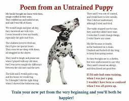 Poem From An Untrained Puppy Puppies Man And Dog Rescue Dogs