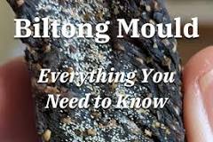 How can you tell if biltong is off?