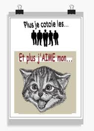 Epingle Sur Arts Murals Theme Chats Et Chiens
