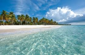 A guide to the people, politics and culture. Dreaming Of A Post Covid Escape Try The Dominican Republic Dose