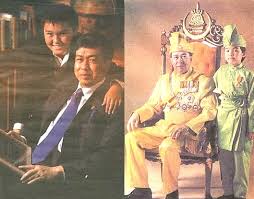 Image result for tengku amir shah mom