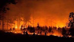 Sepa cómo protegerse y proteger a su familia de un incendio forestal, cómo evacuar de manera segura durante uno y cómo mantenerse sano cuando regrese a casa. Incendio Forestal En Chile Consume Mas De 12 Mil Hectareas Noticias Telesur