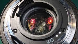 I just wanted to let you know that i really appreciate how much you are on top of jobs that have just opened up. 8 Tips Merawat Lensa Dan Sensor Kamera Agar Tidak Jamuran K Shot