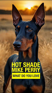 18.	Mike Perry & Hot Shade - What Do You Love 