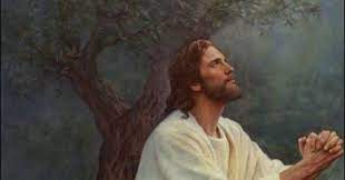 Gambar tuhan yesus dari gambar kelahiran tuhan yesus gambar mujizat tuhan yesus gambar kematian tuhan yesus sampai gambar kebangkitan tuhan yesus. Yesus Berdoa Untuk Anda Gsja Sword Com