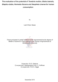 Thesis The Evaluation Of The Potential Of Tenebrio Molitor