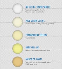 9 Sample Urine Color Charts Pdf