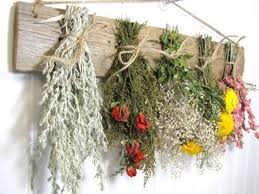 Click a thumbnail image below to view the full image: Drying Herbs 4 Easy Methods To Preserve Your Herb Harvest Dried Flower Arrangements Herb Diy Drying Herbs