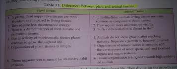Check spelling or type a new query. Difference Between Animal Tissue And Plant Tissue 9 Class In 5 Points Brainly In