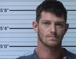 Diaz De Leon Espino, Leonardo mugshot and booking details