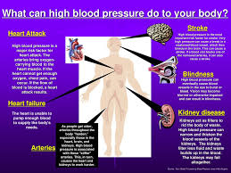 They can block the flow of blood in vessels. Understanding Your Blood Pressure Ppt Download
