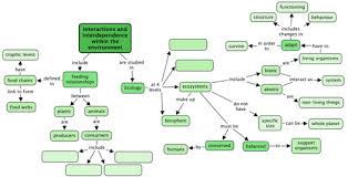 Energy Flow Food Chains And Food Webs Interactions And