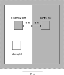 Maybe you would like to learn more about one of these? Effects Of Small Scale Grassland Fragmentation And Frequent Mowing On Population Density And Species Diversity Of Orthopterans A Long Term Study Braschler 2009 Ecological Entomology Wiley Online Library