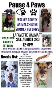 Capstar oral flea treatment for cats. Here Is The Information About The Pause Walker County Ga Government Facebook