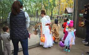 John Ball Zoo Goes Boo Is On For Halloween 2020 Halloween Zoo Halloween Boo Halloween 2020
