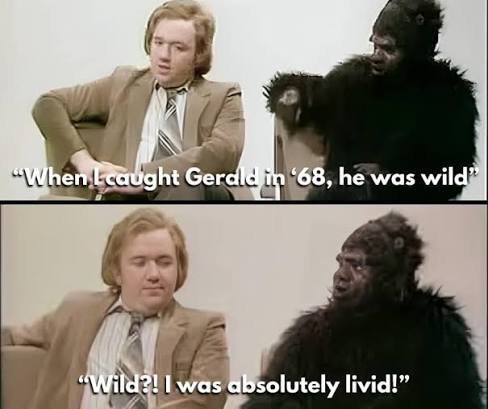 The Gerald the Gorilla sketch from Not the Nine O'Clock News is a ...
