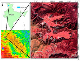 Image result for Scorodophloeus fischeri
