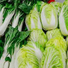 Image result for Brassica rapa