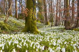 Весна — в саду ягода (2020) весна — стоп, стоп, стёпа (2020) весна — поцелуев волшебство (2020) Vesna Krasivye Kartinki 50 Foto Prikolnye Kartinki I Pozitiv