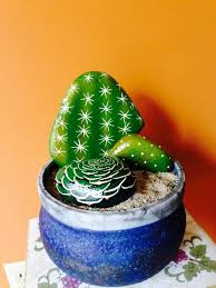 Los cactus, también conocidos como cactáceos o cactaceae, son una familia de plantas con flor. Pin De Rosa Bueno En Cserepek Cactus Pintados En Piedras Piedras Decorativas Como Decorar Piedras