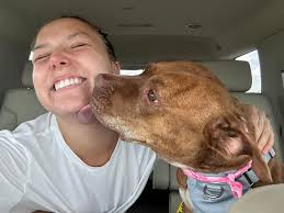 Beautiful Brindle Jedda is almost out of time.