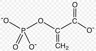 Besuche unseren shop noch heute. Asparagine Amino Acid Alanine Molecule Chemical Substance Png 1200x643px Asparagine Acid Alanine Amino Acid Area Download