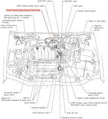 The wiring diagram is in nissan service manuals. 1996 Nissan Maxima With P1445 Code