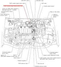 The wiring diagram is in nissan service manuals. 1996 Nissan Maxima With P1445 Code