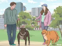 Maybe you would like to learn more about one of these? How To Stop A Dog Barking At Other Dogs With Pictures Wikihow Pet