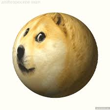 Search, discover and share your favorite dogecoin gifs. Meme Doge Gif Meme Wall