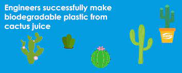 This new biodegradable plastic is made from cactus. Engineers Successfully Make Biodegradable Plastic From Cactus Juice