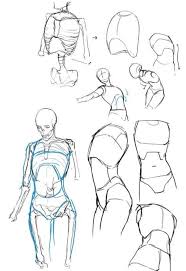 All the material is carefully researched, credited and collected in our main pinterest. Torso Reference Art Reference Drawings Anatomy Art
