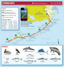 This map was created by a user. Karte Von Florida Keys Und Key West
