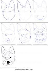 How to draw the dachshund dog. How To Draw German Shepherd Dog Face Printable Step By Step Drawing Sheet Drawingtutorials101 Com Dog Face Drawing Draw Dog How To Draw German Shepherd