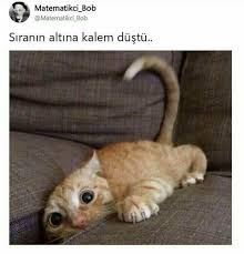 Ece Adli Kullanicinin Komiksiniz Panosundaki Pin 2020 Komik Seyler Gulunc Resimler Komik Capsler