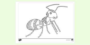 1600x1200 amazing flying insect coloring pages picture collection. Colouring Colouring Sheets Teacher Made