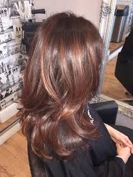 Chocolate Brown With Cinnamon Highlights Hair Color Auburn Hair Inspo Color Hair