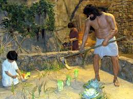 A comparable analysis of the same men's mtdna sequences. Pictures Of Kentucky S Creation Museum