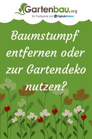 Baumstumpf Entfernen Ausgraben Frasen Verrotten Baumstumpf Entfernen Baumstumpf Garten Deko