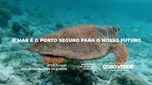 1 de 3 dia mundial dos oceanos vai lembrar dos impactos do lixo produzido pelo homem no meio ambiente — foto: Dia Mundial Dos Oceanos Mindel Insite