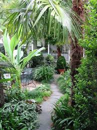 The Ultimate Revelation Of Tropical Landscaping 23 Kawaii Interior Tropical Landscape Design Tropical Landscaping Tropical Backyard