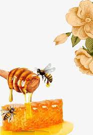 Honey Bees Honey Stir The Sticks Acacia Honey Png Transparent Clipart Image And Psd File F Honey Art Bee Painting Bee Drawing